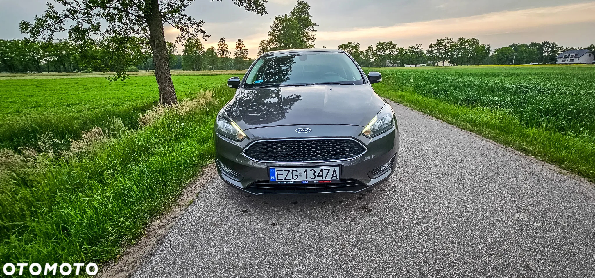 Ford Focus 1.6 Trend Sport - 21