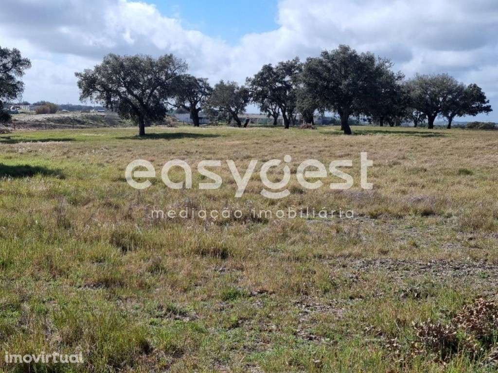 Monte em Ferreira do Alentejo c/ moradia T2 - Beja - Grande imagem: 3/24