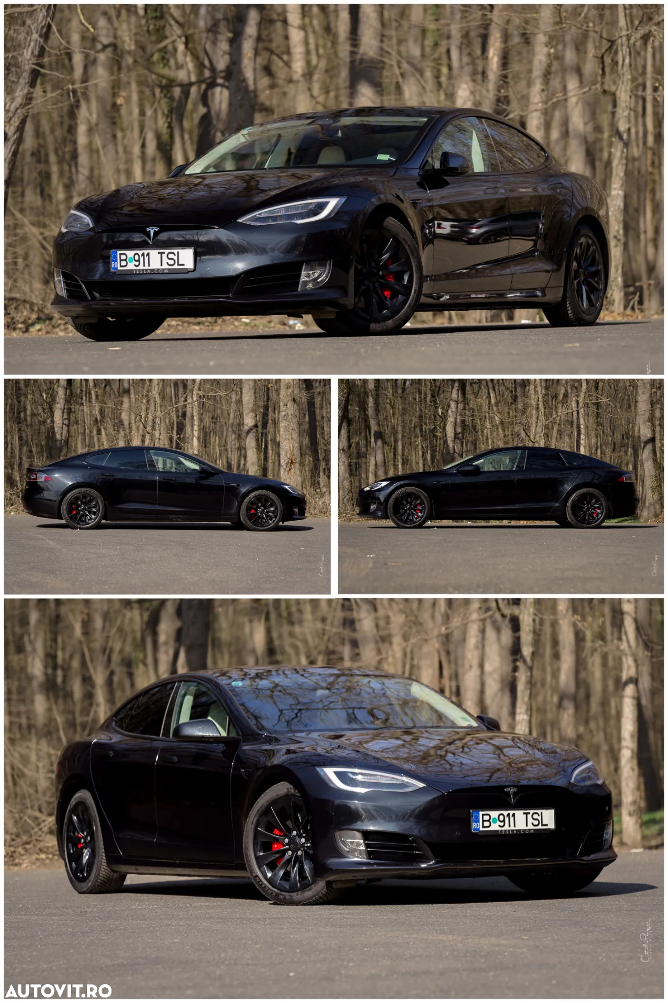 Tesla Model S Performance - 4