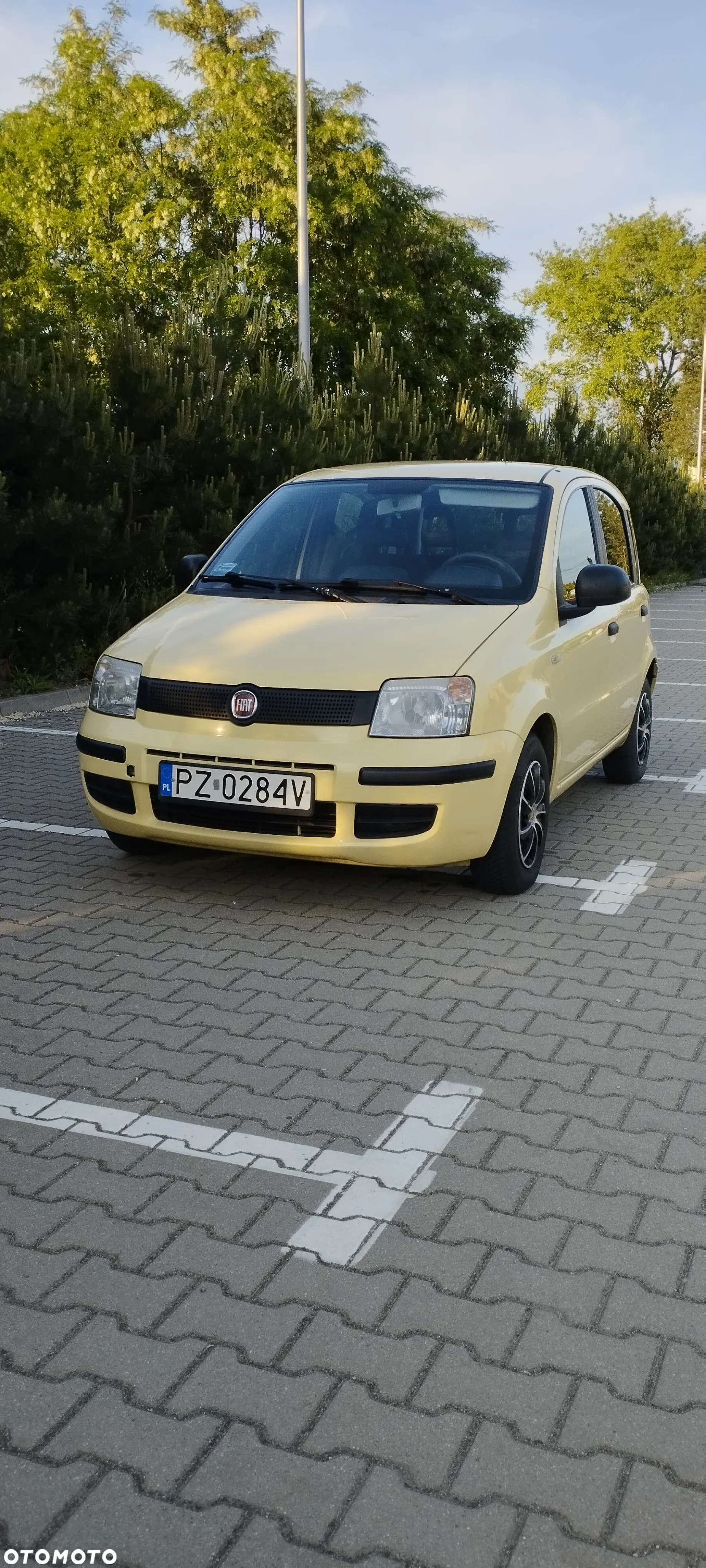 Fiat Panda 1.1 Active Eco - 11