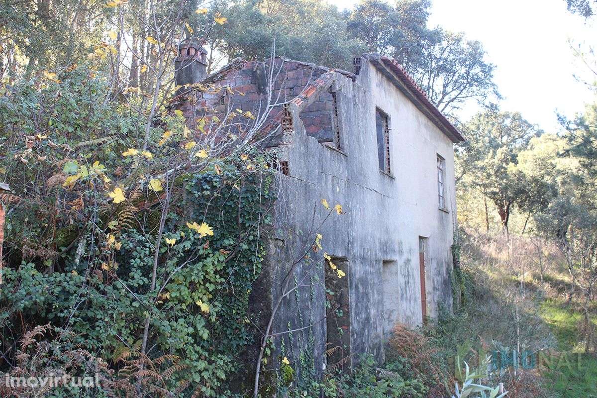 Imóvel Rural - Grande imagem: 2/32