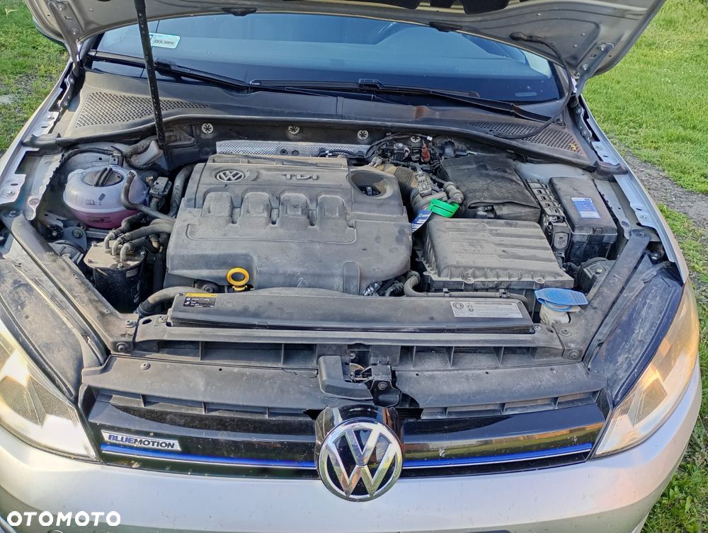 Volkswagen Golf Variant 1.6 TDI (BlueMotion Technology) Comfortline - 5