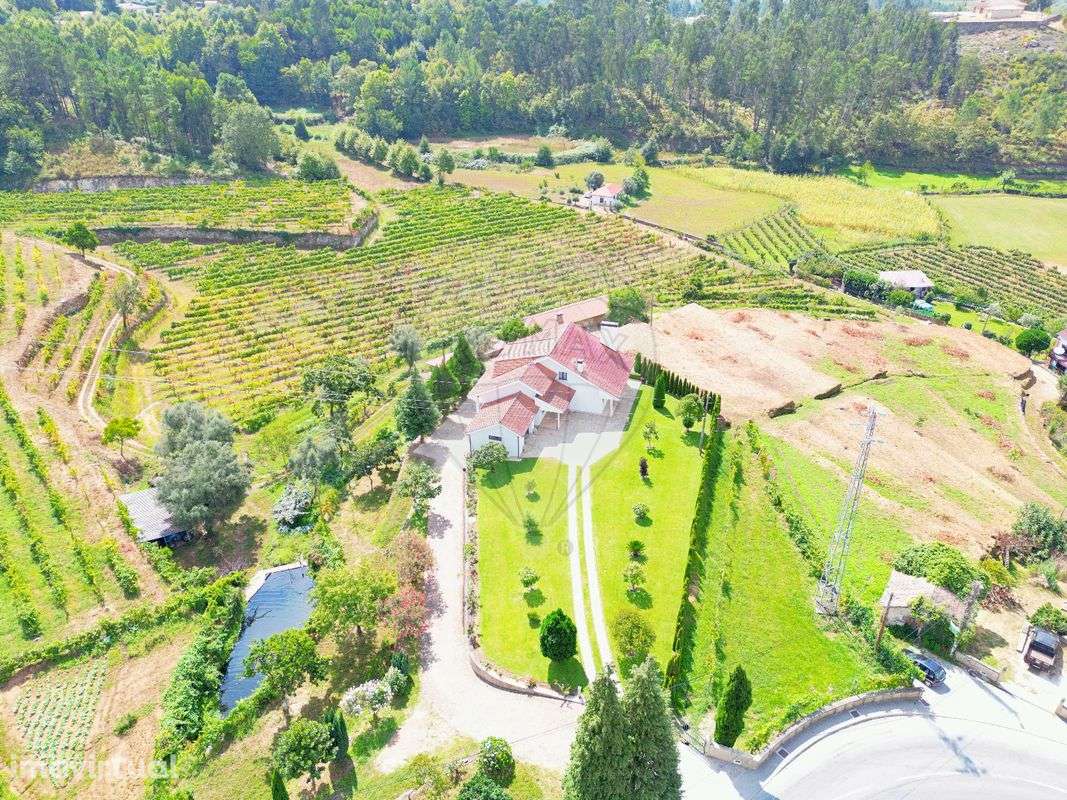 Quinta T4 para venda - Grande imagem: 3/32