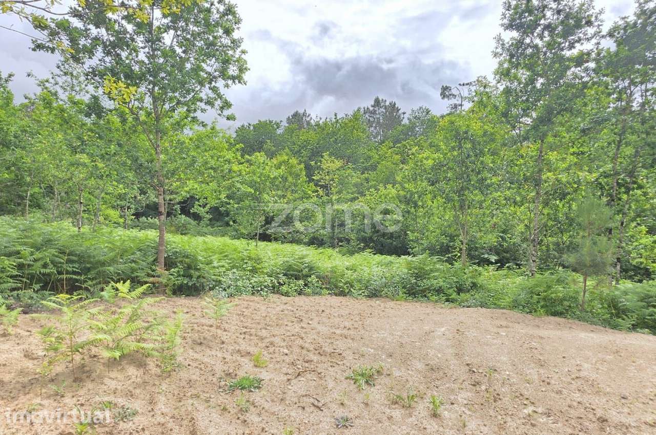 Terreno para construção - Fiscal, Amares - Grande imagem: 5/15