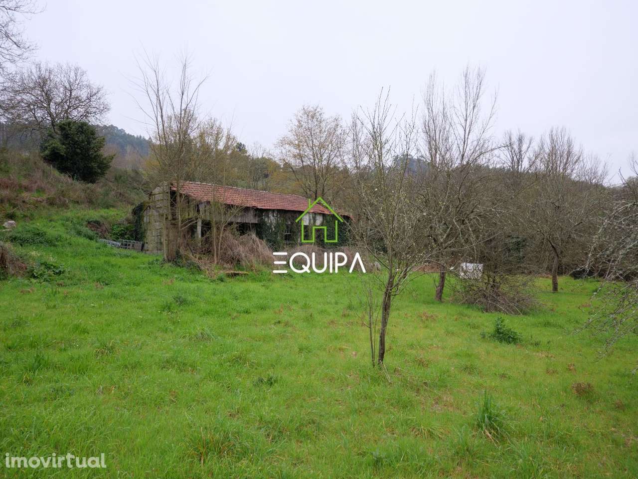 Quinta em Polvoreira - com mais de 3hectares - Grande imagem: 4/15