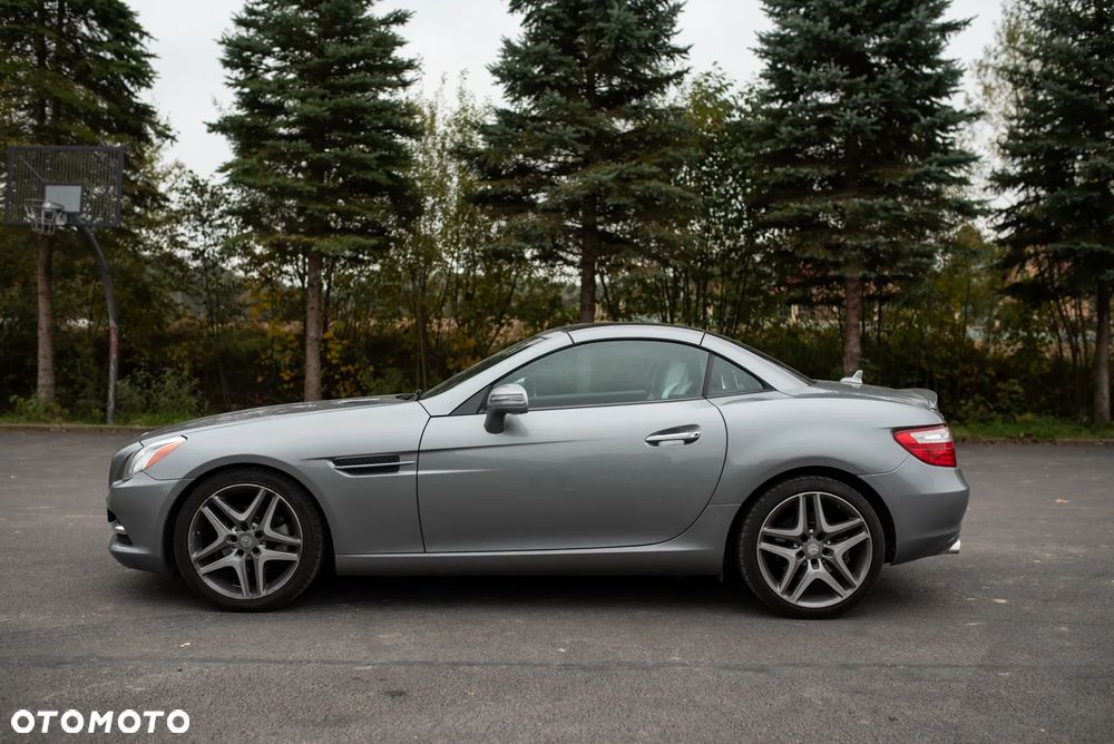 Mercedes-Benz SLK 250 (BlueEFFICIENCY) 7G-TRONIC - 2
