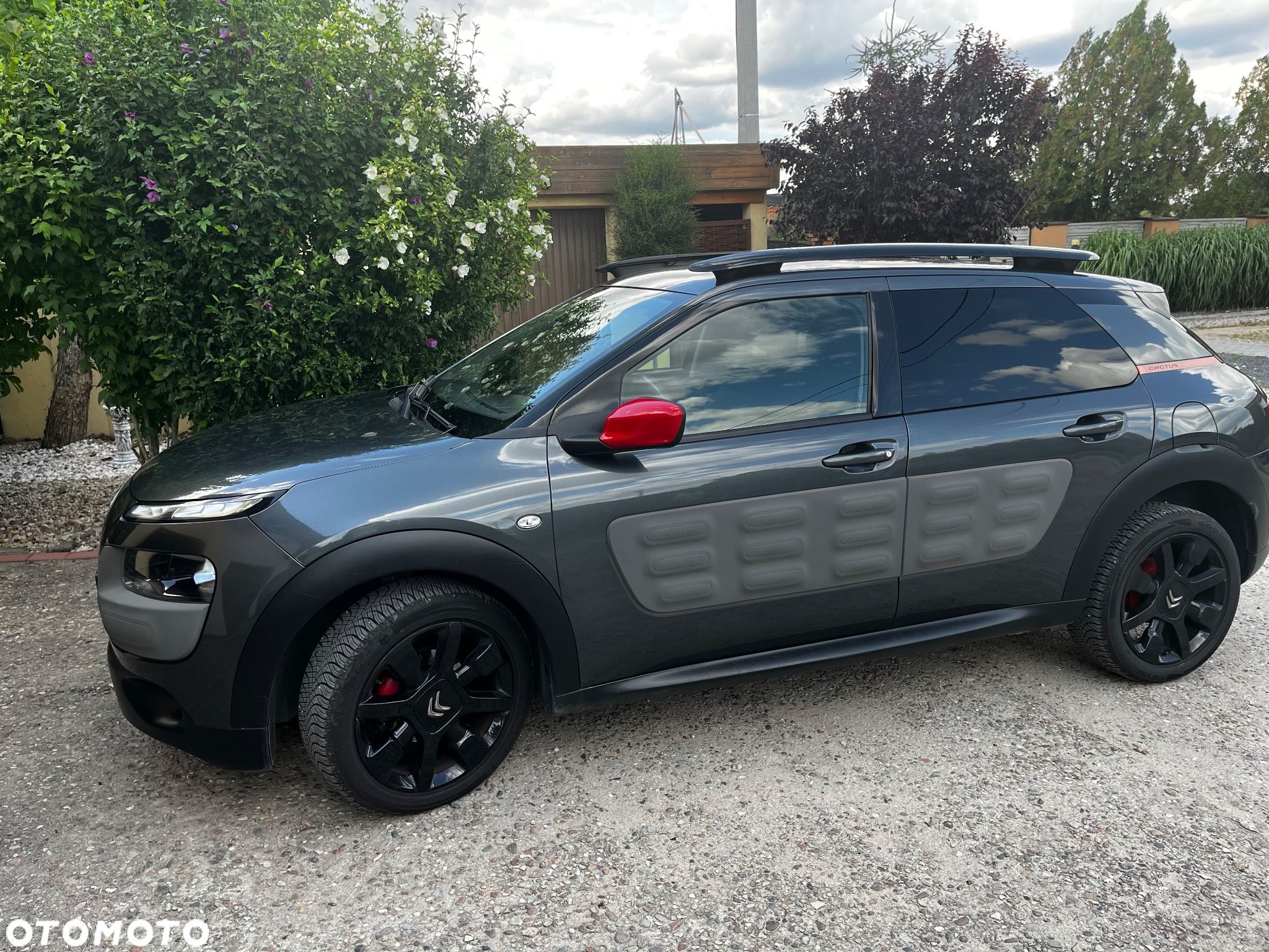 Citroën C4 Cactus 1.6 BlueHDi Shine - 1