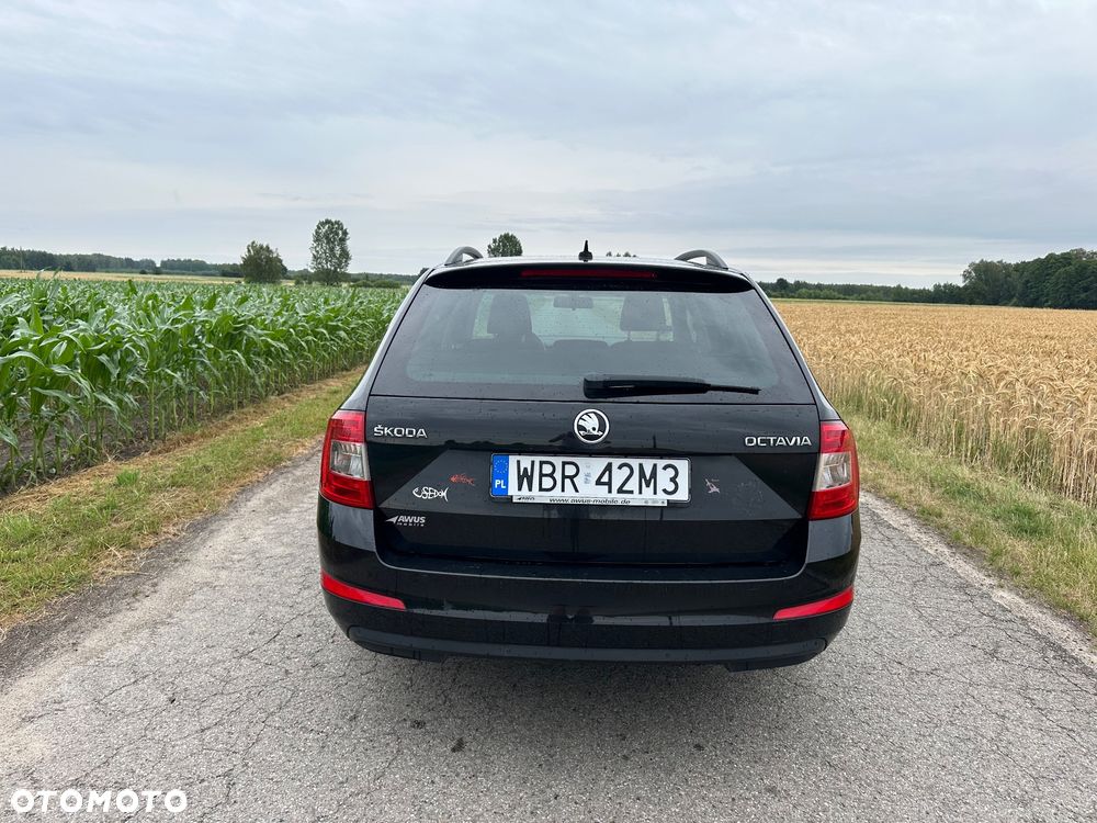 Skoda Octavia - 17