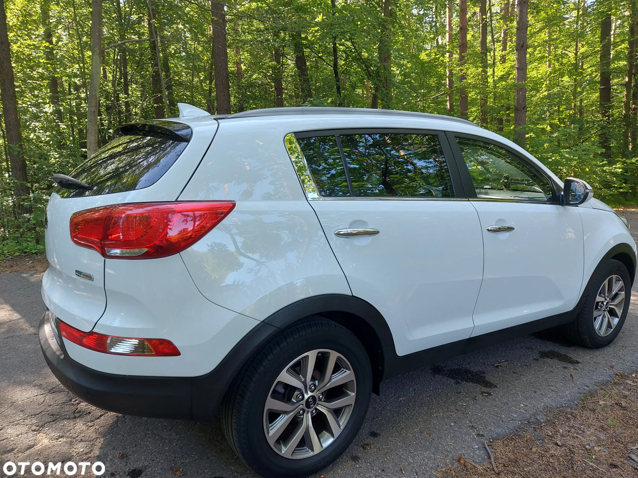 Kia Sportage 1.6 GDI Business Line 2WD - 4