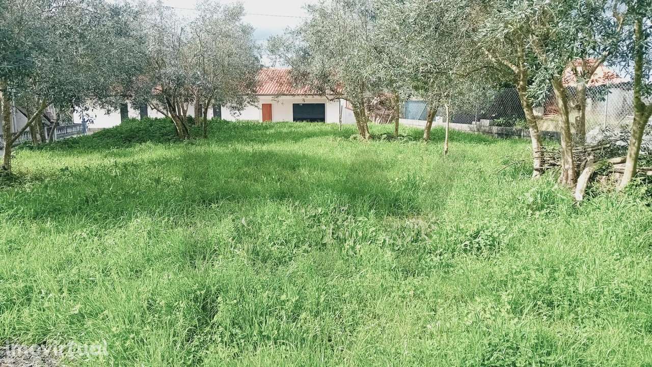 Terreno Rústico em Paleão – 1008m2 com Potencial para Moradia Moderna - Grande imagem: 4/13