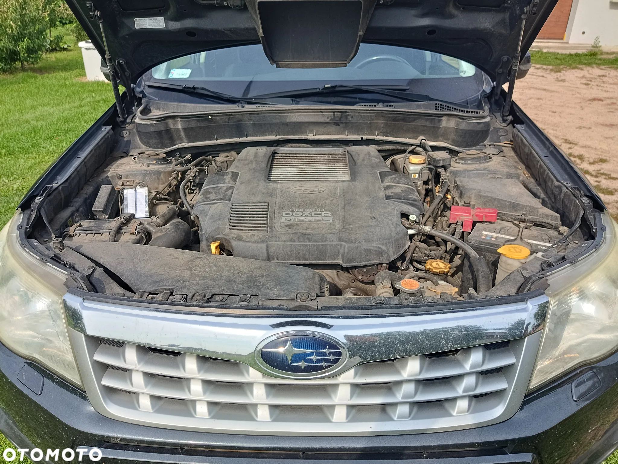 Subaru Forester - 5