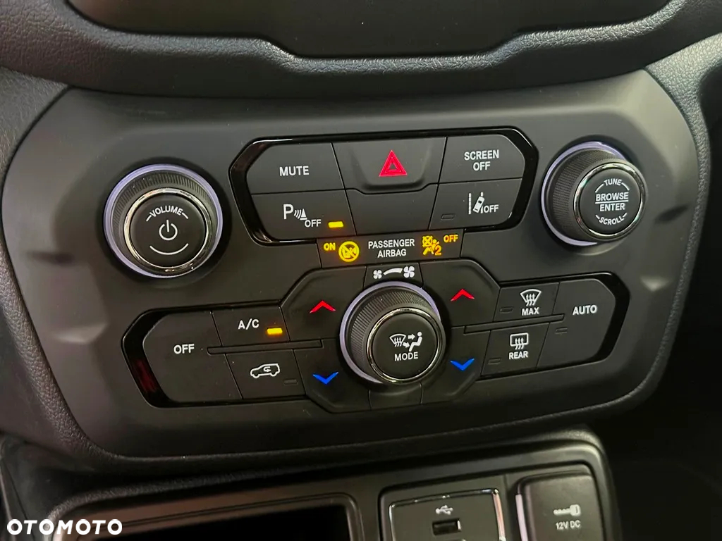 Jeep Renegade 1.6 MultiJet Limited FWD S&S - 21