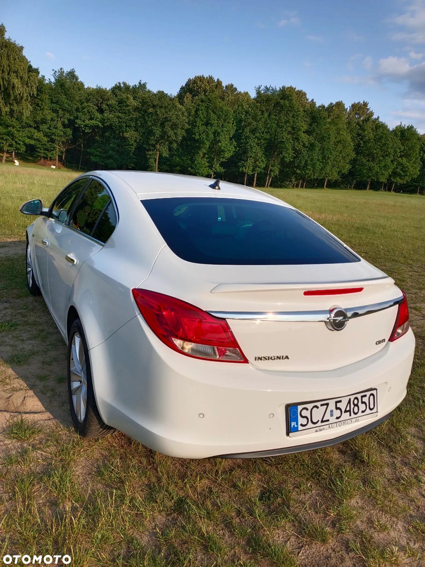 Opel Insignia 2.0 CDTI Cosmo - 2