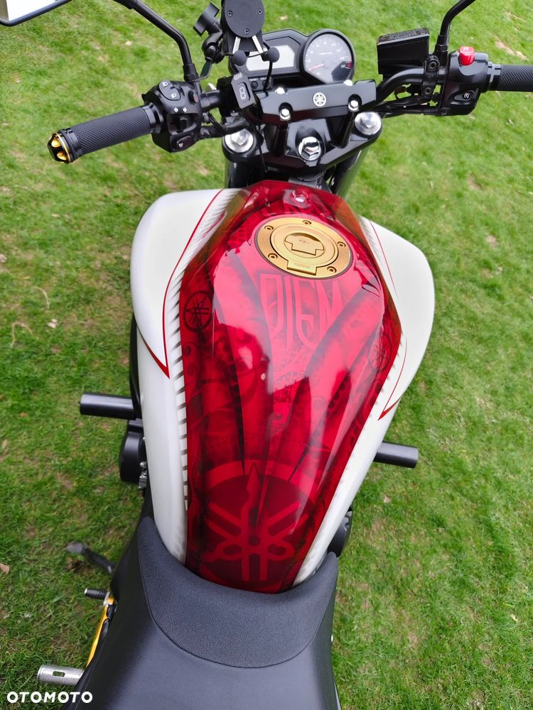 Yamaha FZ6 - 8
