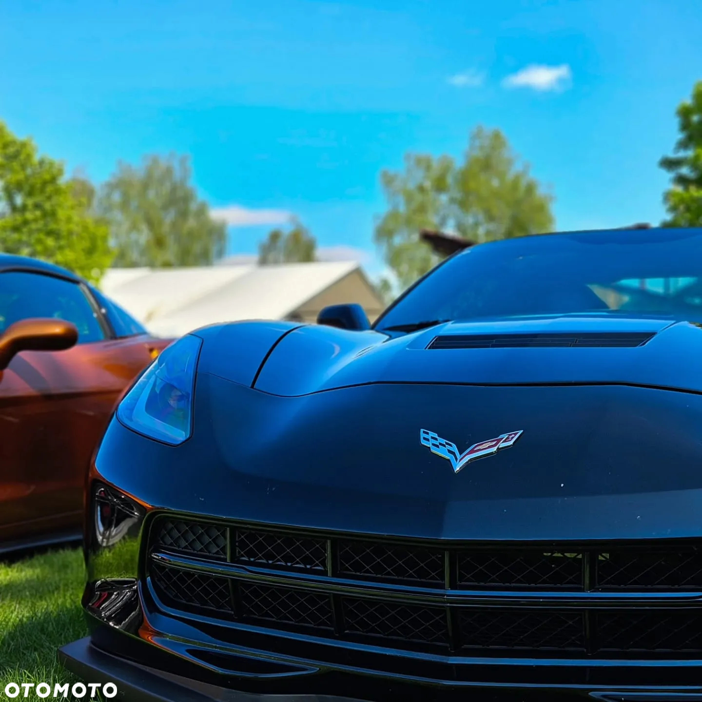 Chevrolet Corvette Stingray 3LT 6.2 V8 Cabrio Automatik - 13