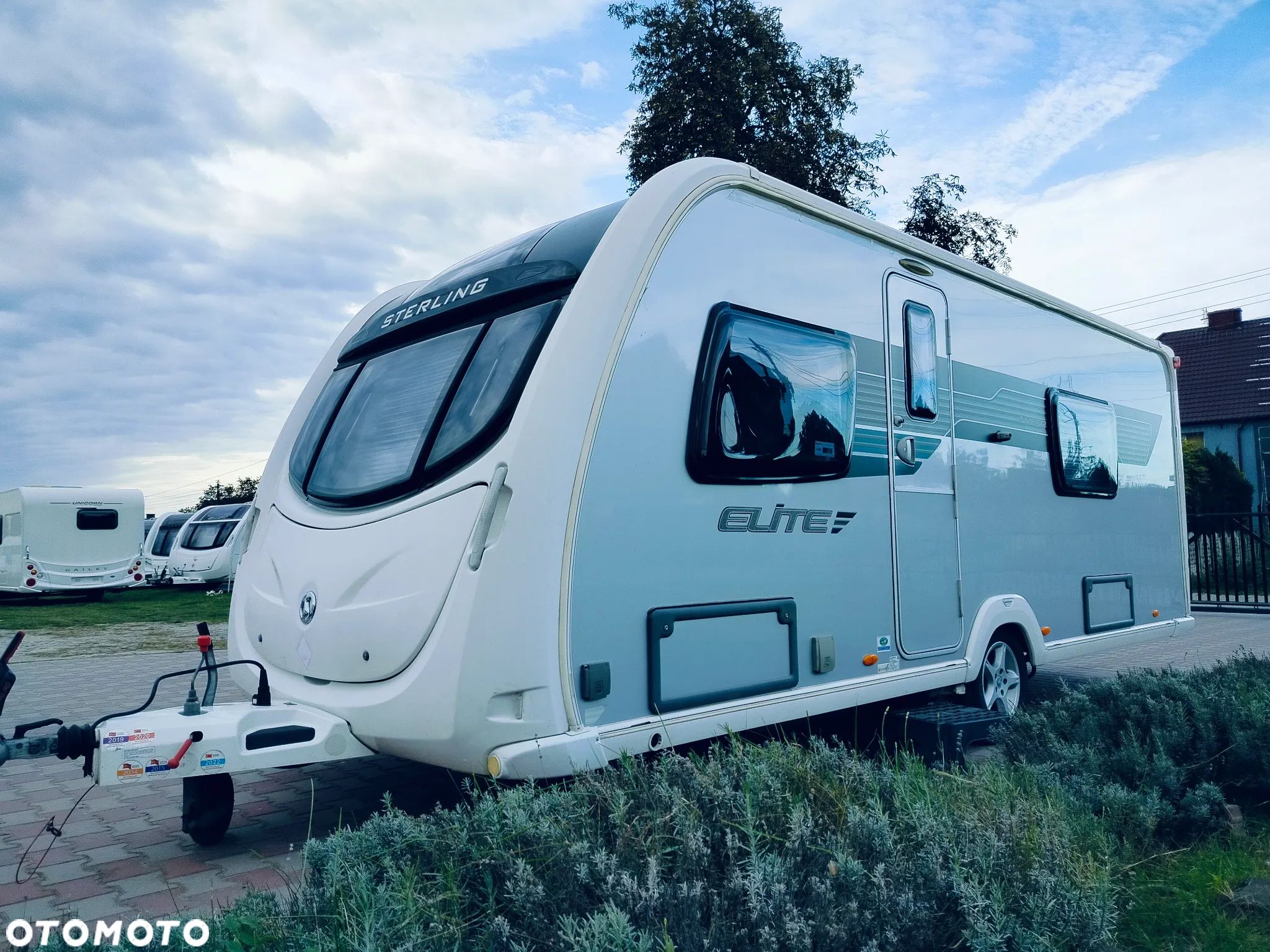 SWIFT Sterling Elite Amber - 1