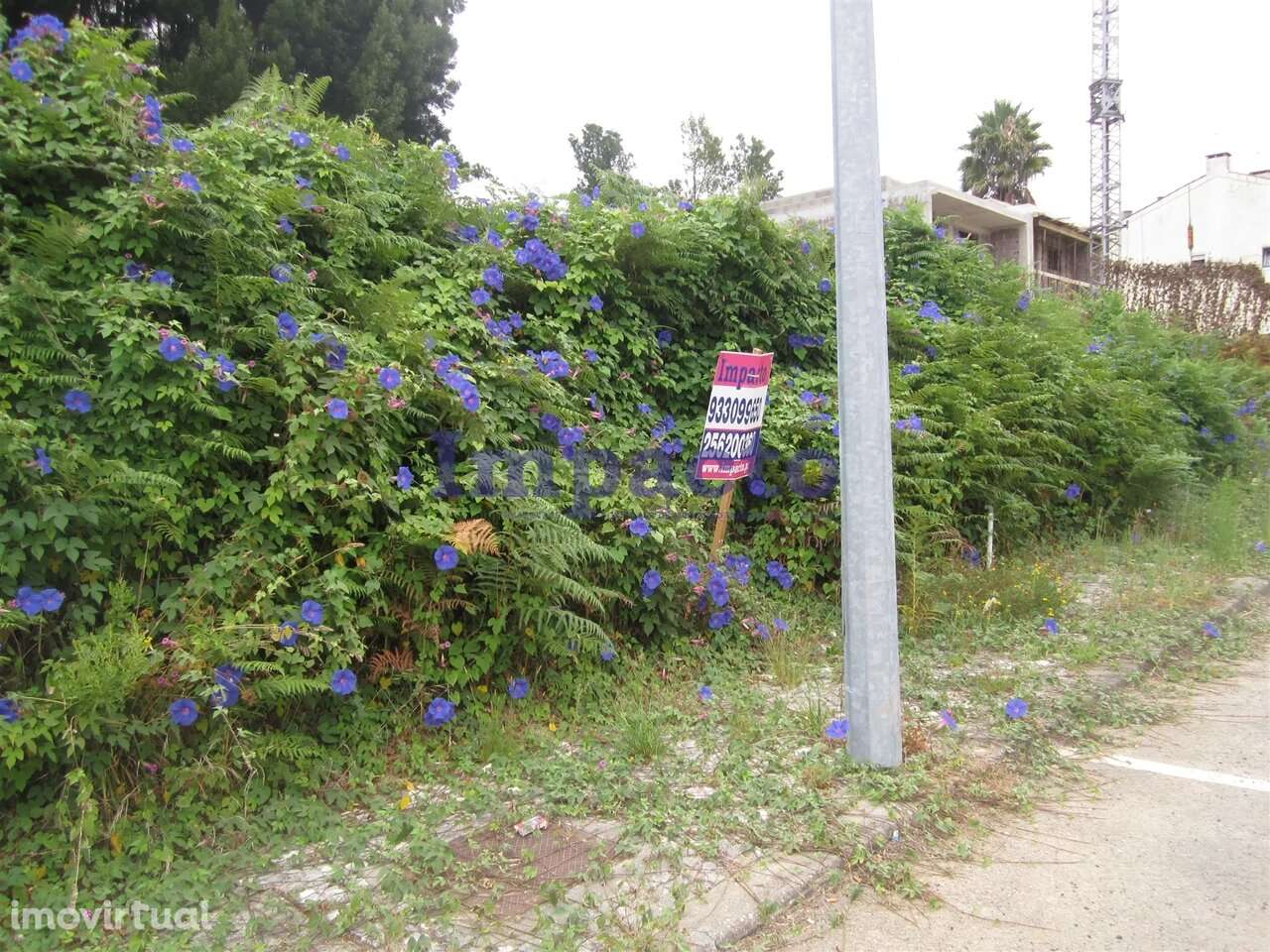 Loteamento em Cucujães, Oliveira de Azeméis - Grande imagem: 4/8