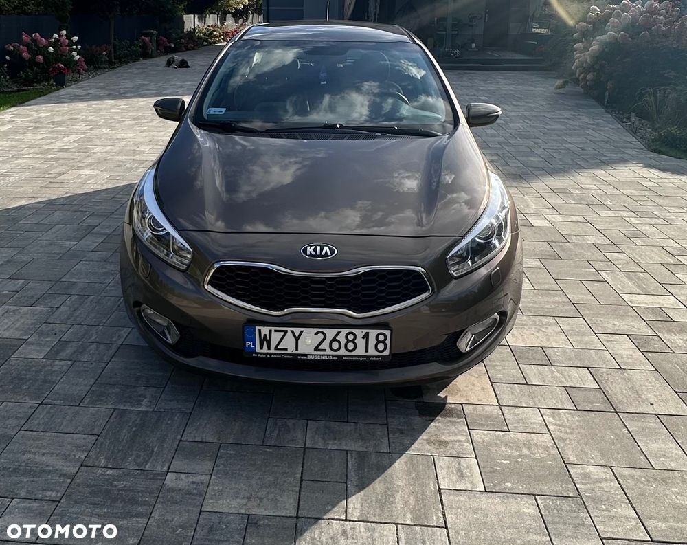 Kia Ceed - 1