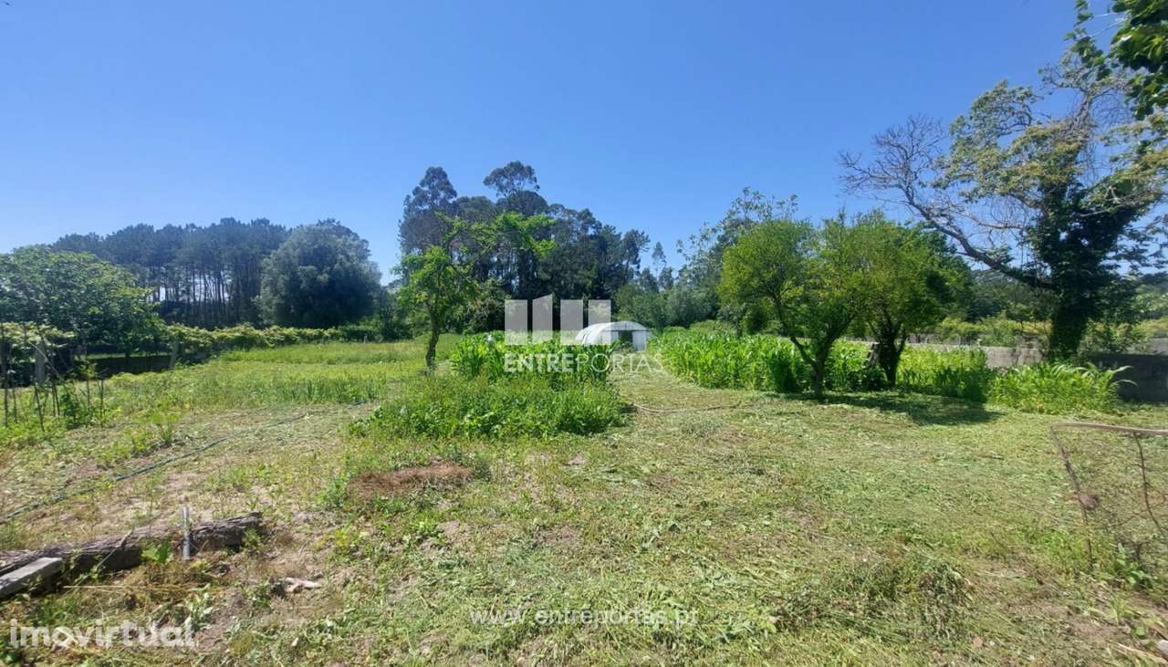 Venda de quintinha c/ moradia V4 em pedra, Vila Fria, Viana do Castelo - Grande imagem: 3/30