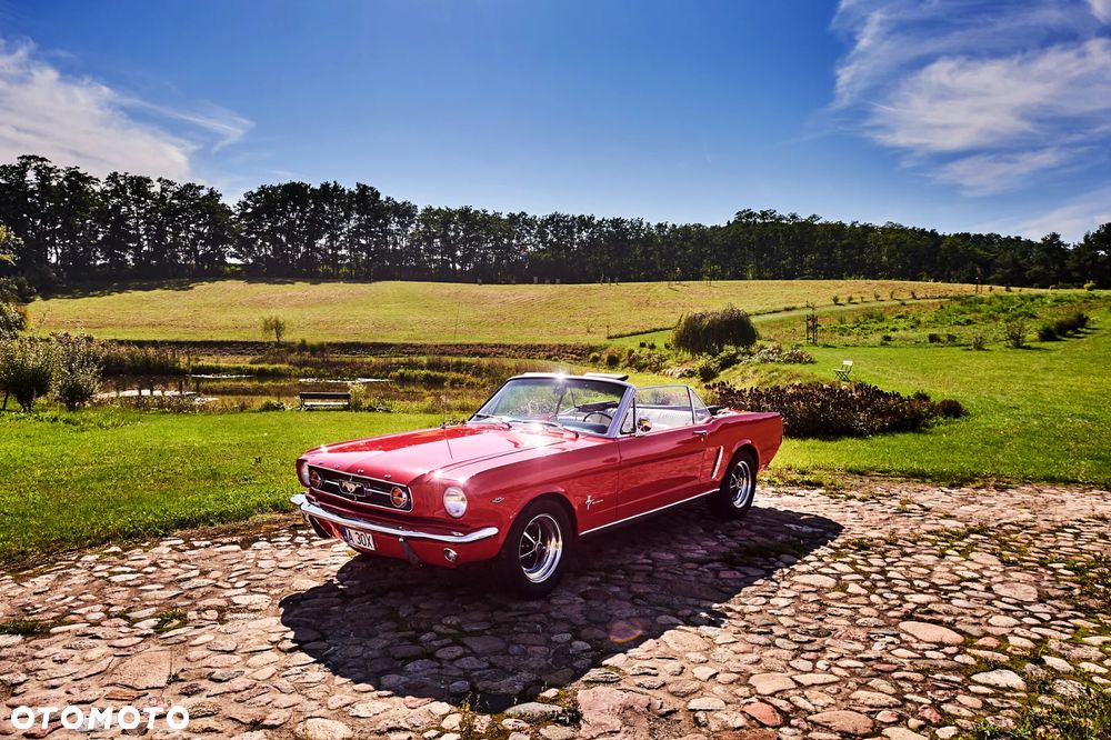Ford Mustang - 14
