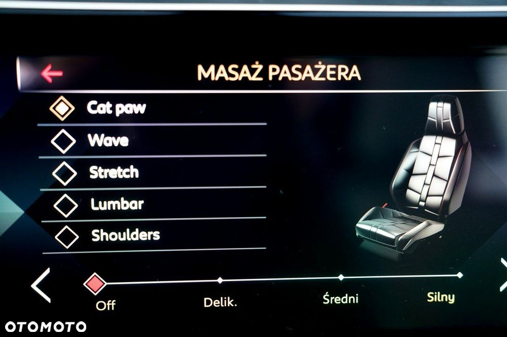 DS Automobiles DS 7 Crossback - 26