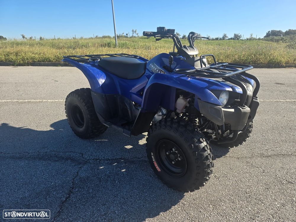 Yamaha Grizzly 300 4x2 - 1