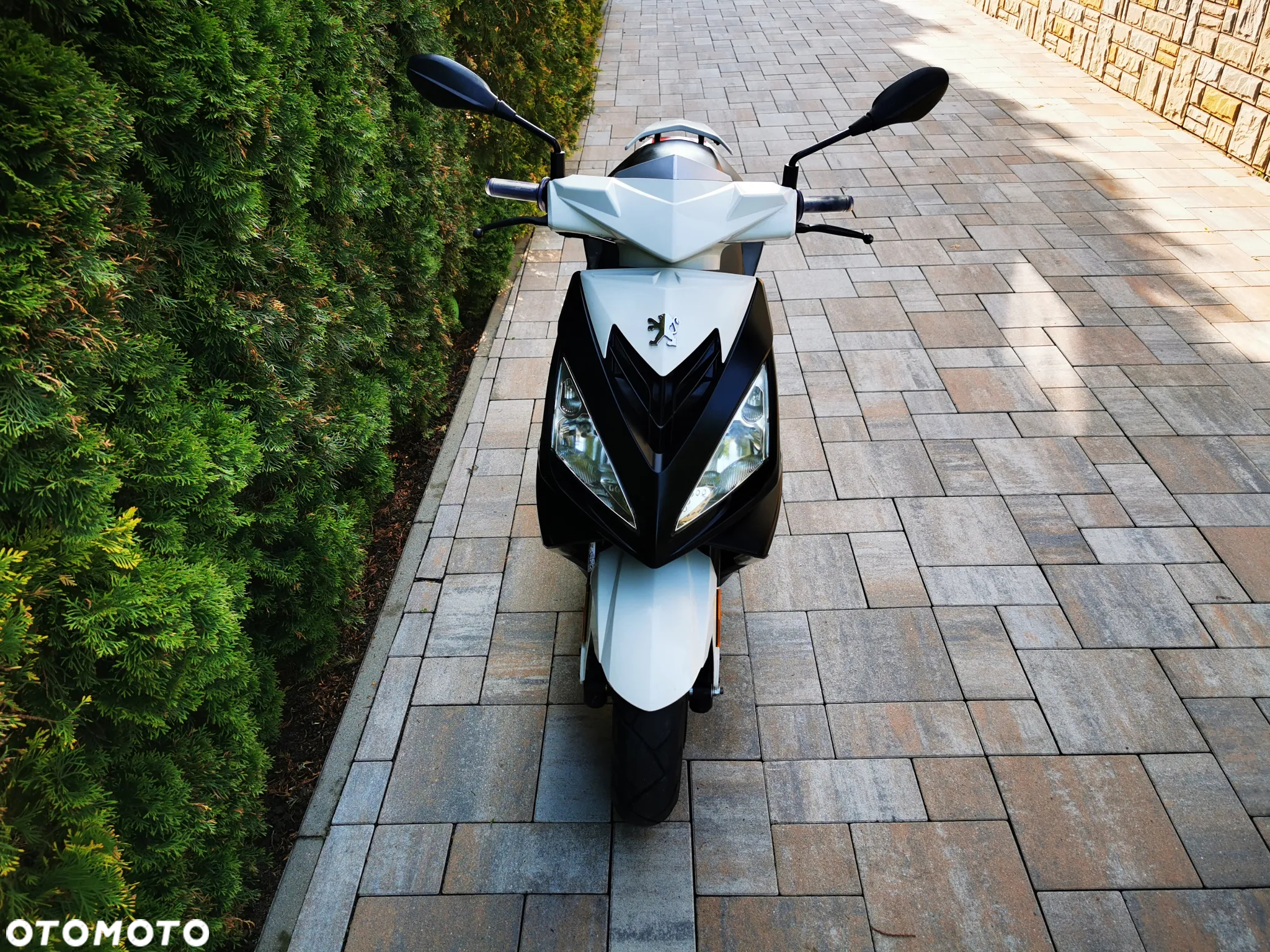 Peugeot Speedfight - 7
