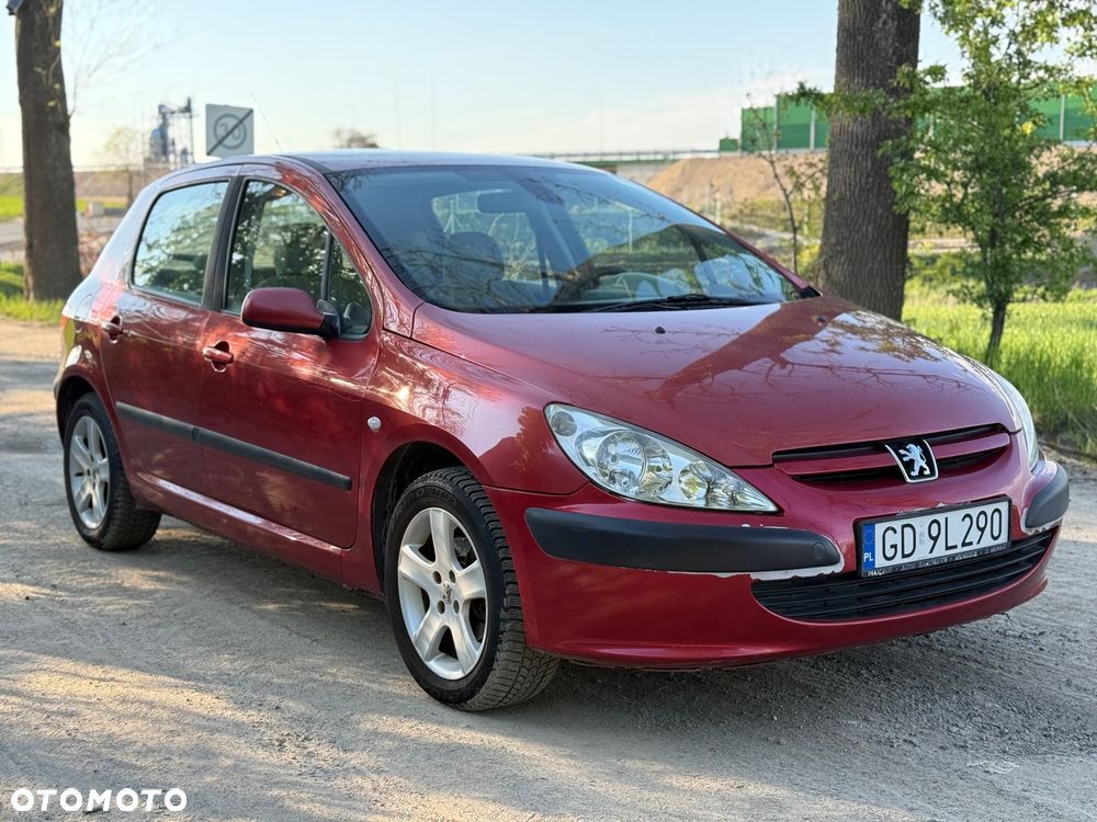 Peugeot 307 2.0 XS Class - 2