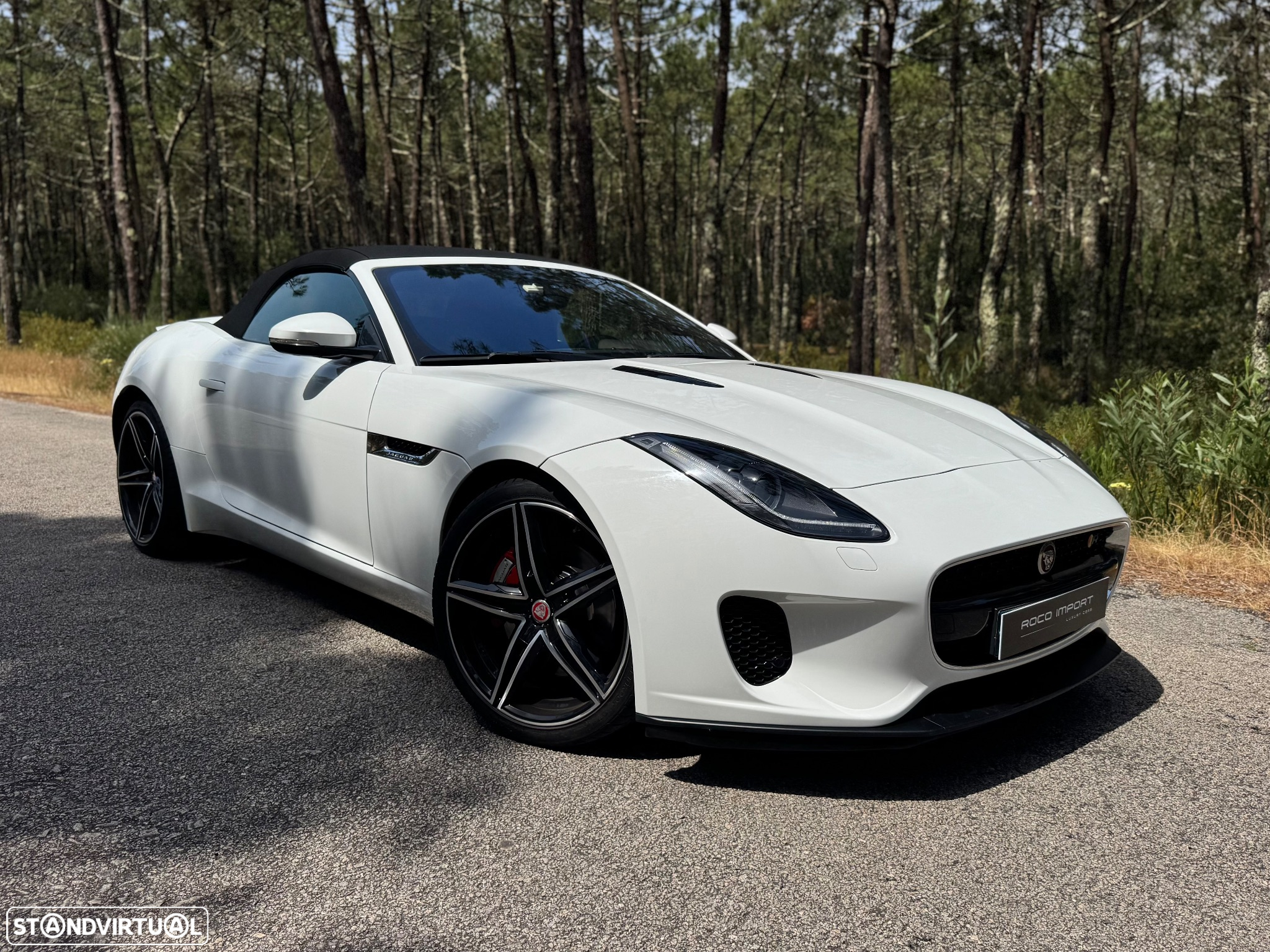 Jaguar F-Type Cabriolet P300 Aut. First Edition - 10