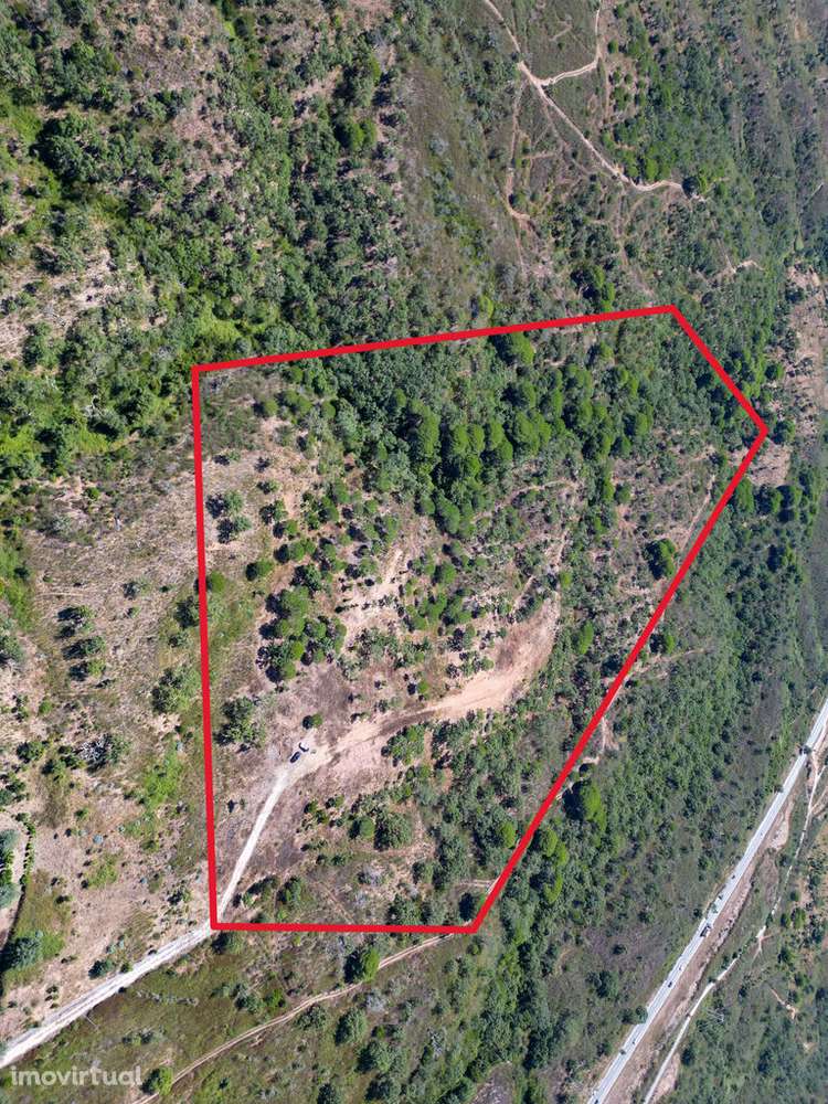 Terreno Urbano de 6.200m2 com projeto aprovado - Grande imagem: 2/13