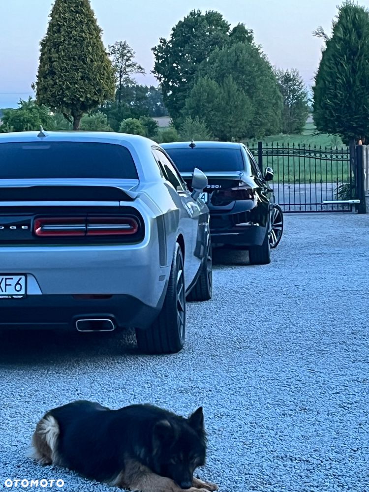 Dodge Challenger Automatik 392 Hemi Scat Pack Shaker - 34