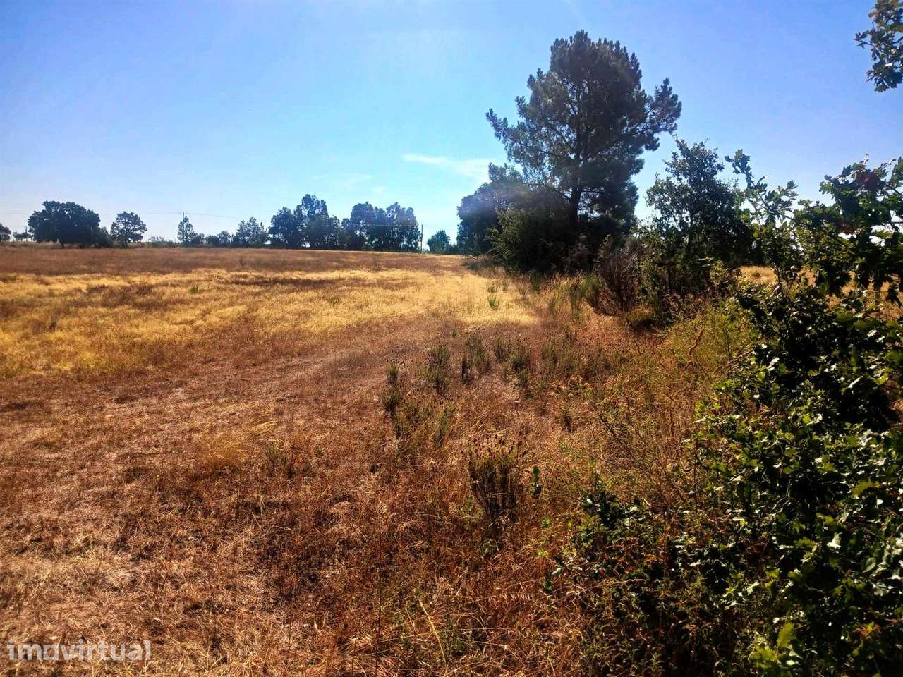 Terreno - Grande imagem: 2/7
