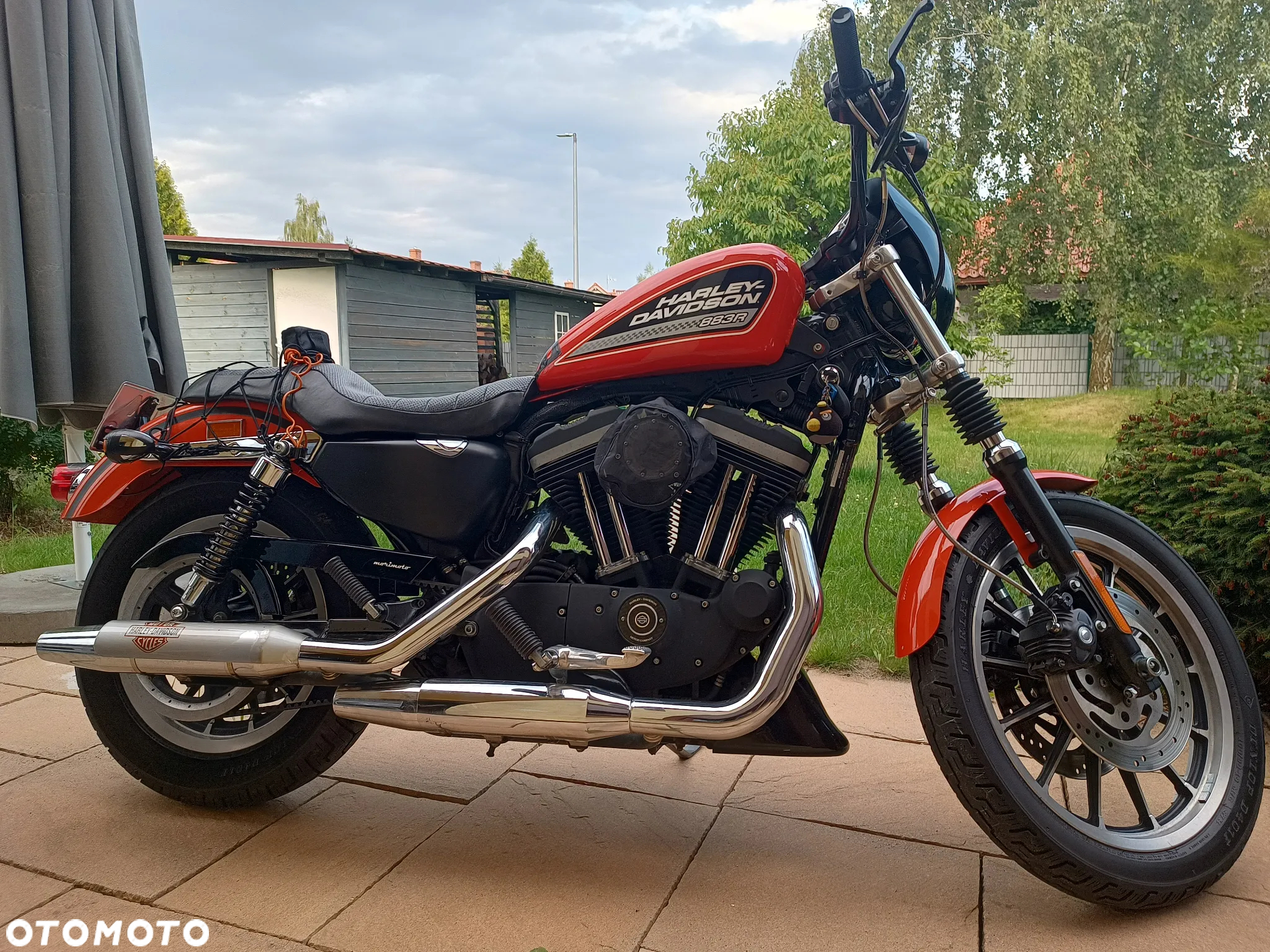 Harley-Davidson Sportster Roadster 883R - 2