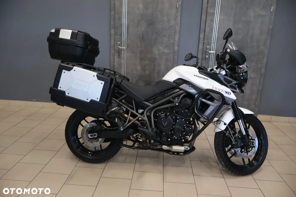 Triumph Tiger - 13