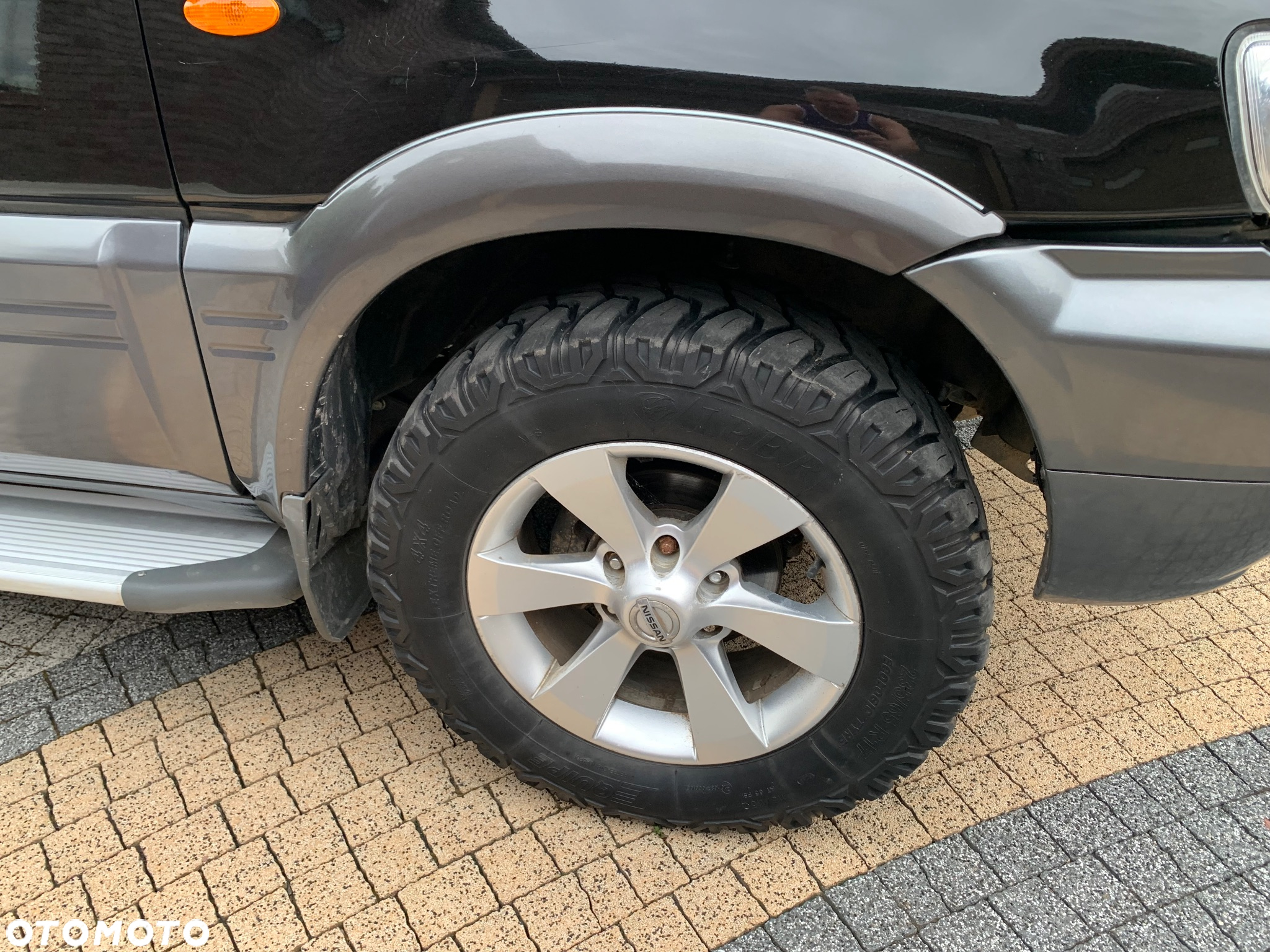 Nissan Terrano - 5