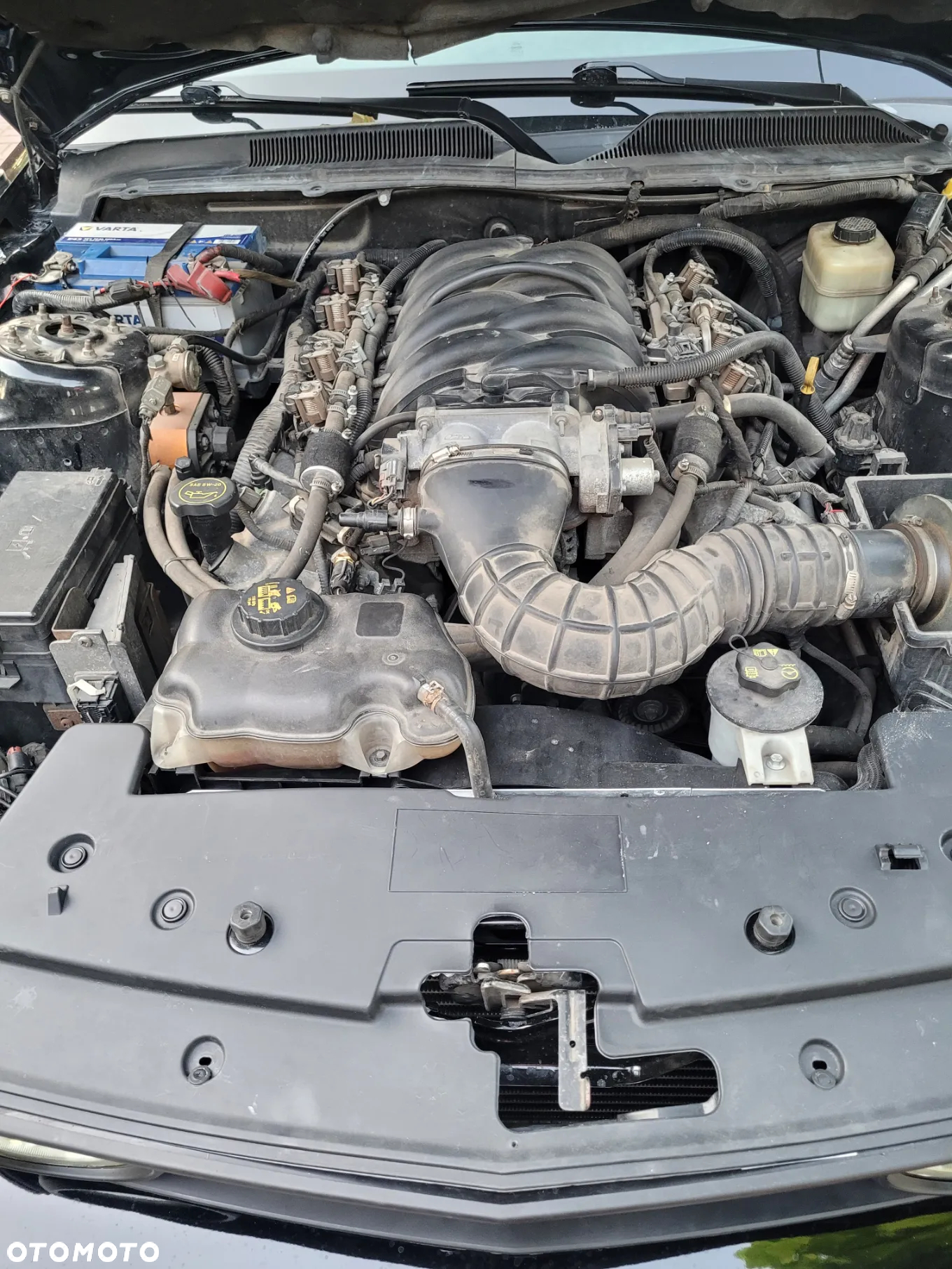 Ford Mustang 4.6 V8 GT - 8