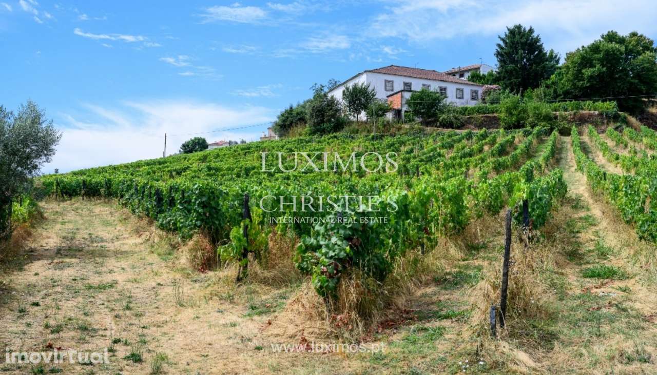 Quinta do Eidinho à venda no Douro Valley em Santa Marta de Penaguiã - Grande imagem: 2/22