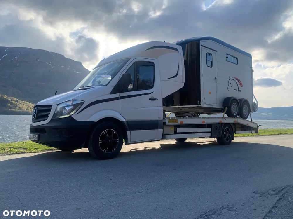 Mercedes-Benz SPRINTER 319 - 3