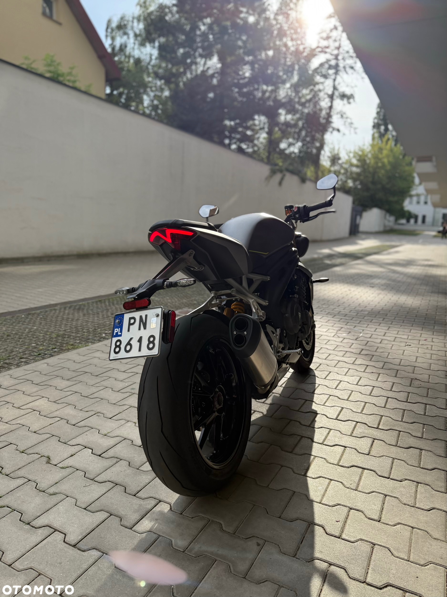 Triumph Speed Triple - 20