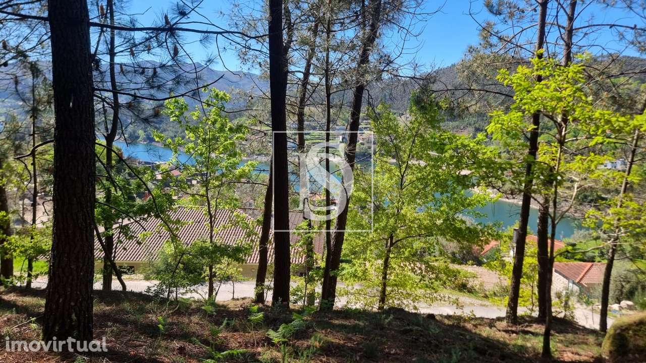 Terreno  Venda em Mosteiro,Vieira do Minho - Grande imagem: 4/24