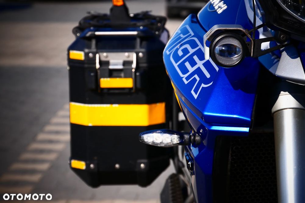 Triumph Tiger - 19