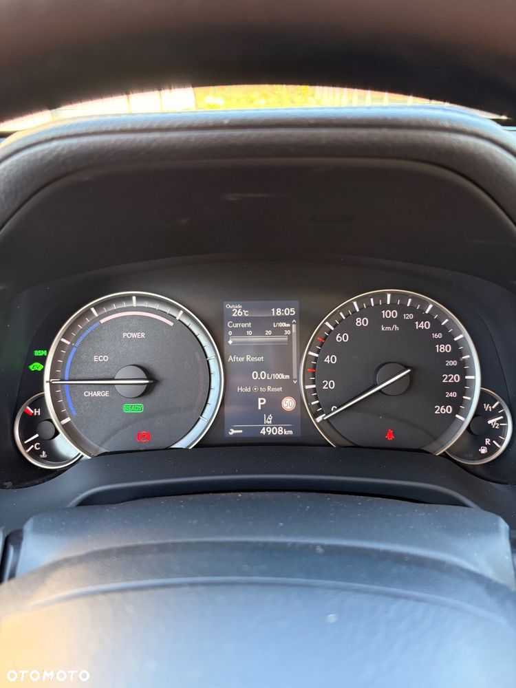 Lexus RX - 15