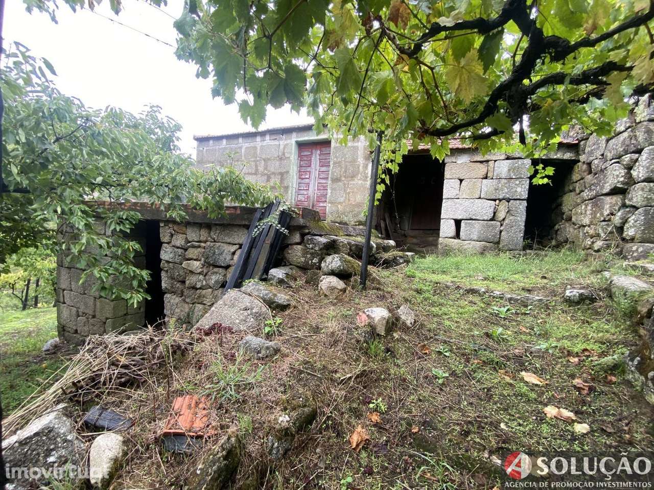 Quintinha Resende - Douro - Grande imagem: 3/21