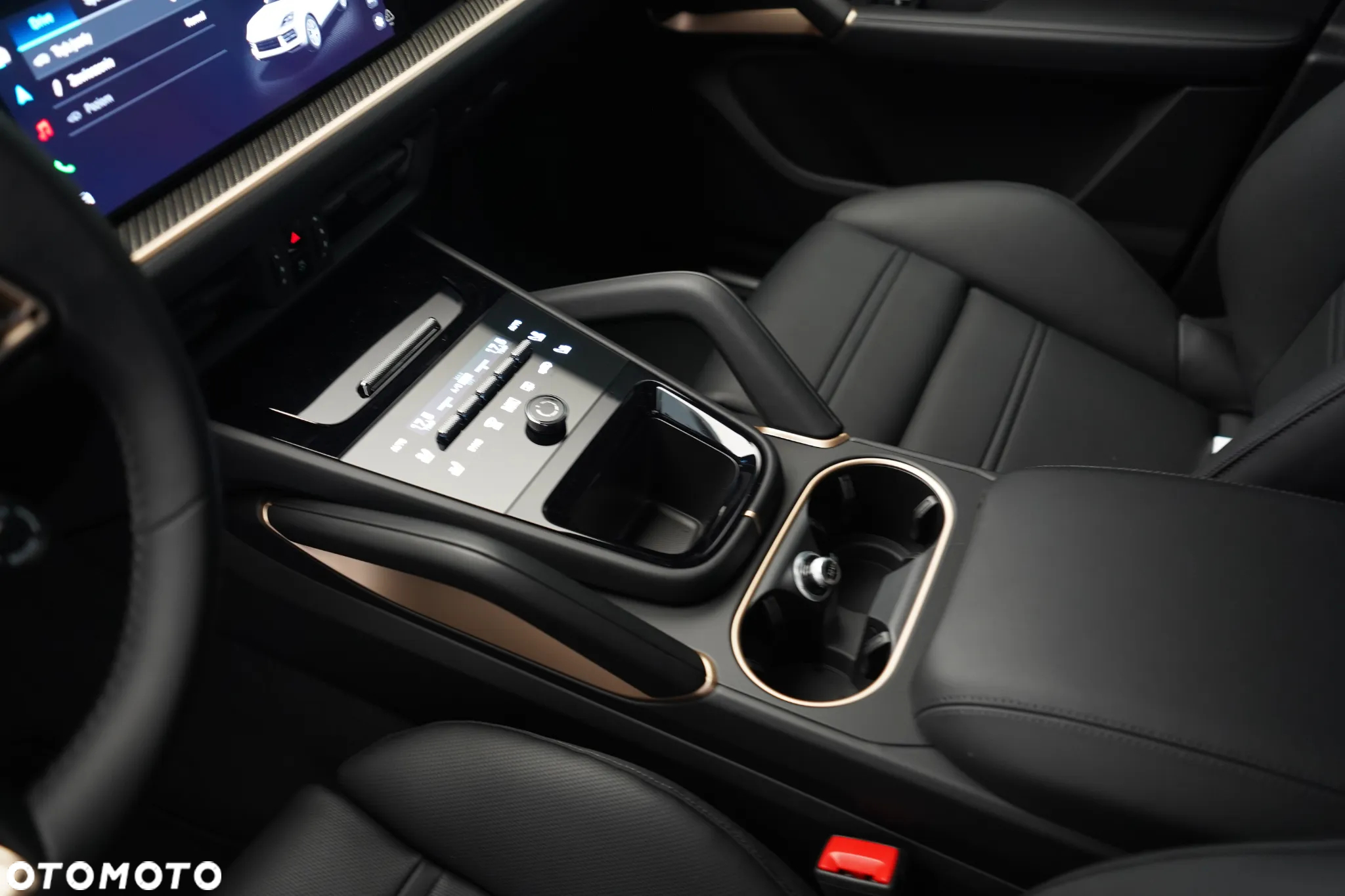 Porsche Cayenne Coupe S E-Hybrid PHEV - 21