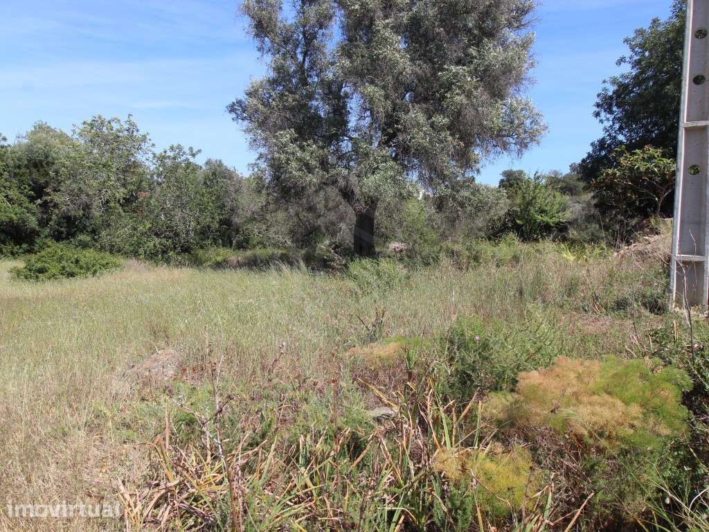 Terreno para moradia individual, Albufeira, Algarve - Grande imagem: 3/10