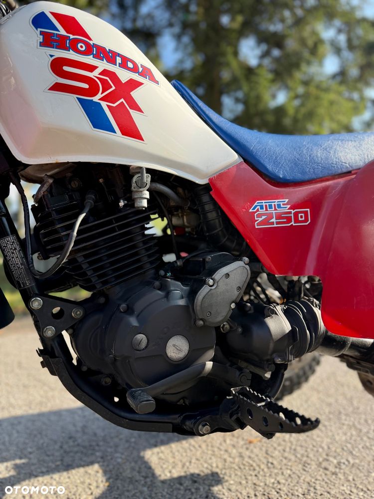Honda FourTrax - 7