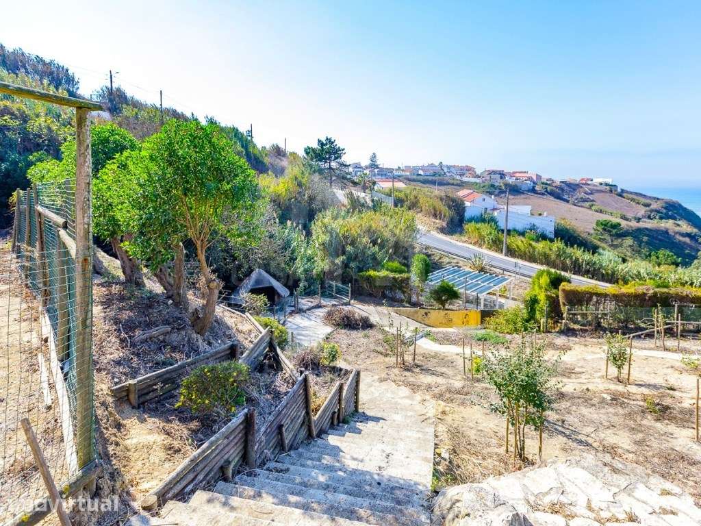 Vende Terreno - Ericeira 6 km, A Casa das Casas - Grande imagem: 2/20