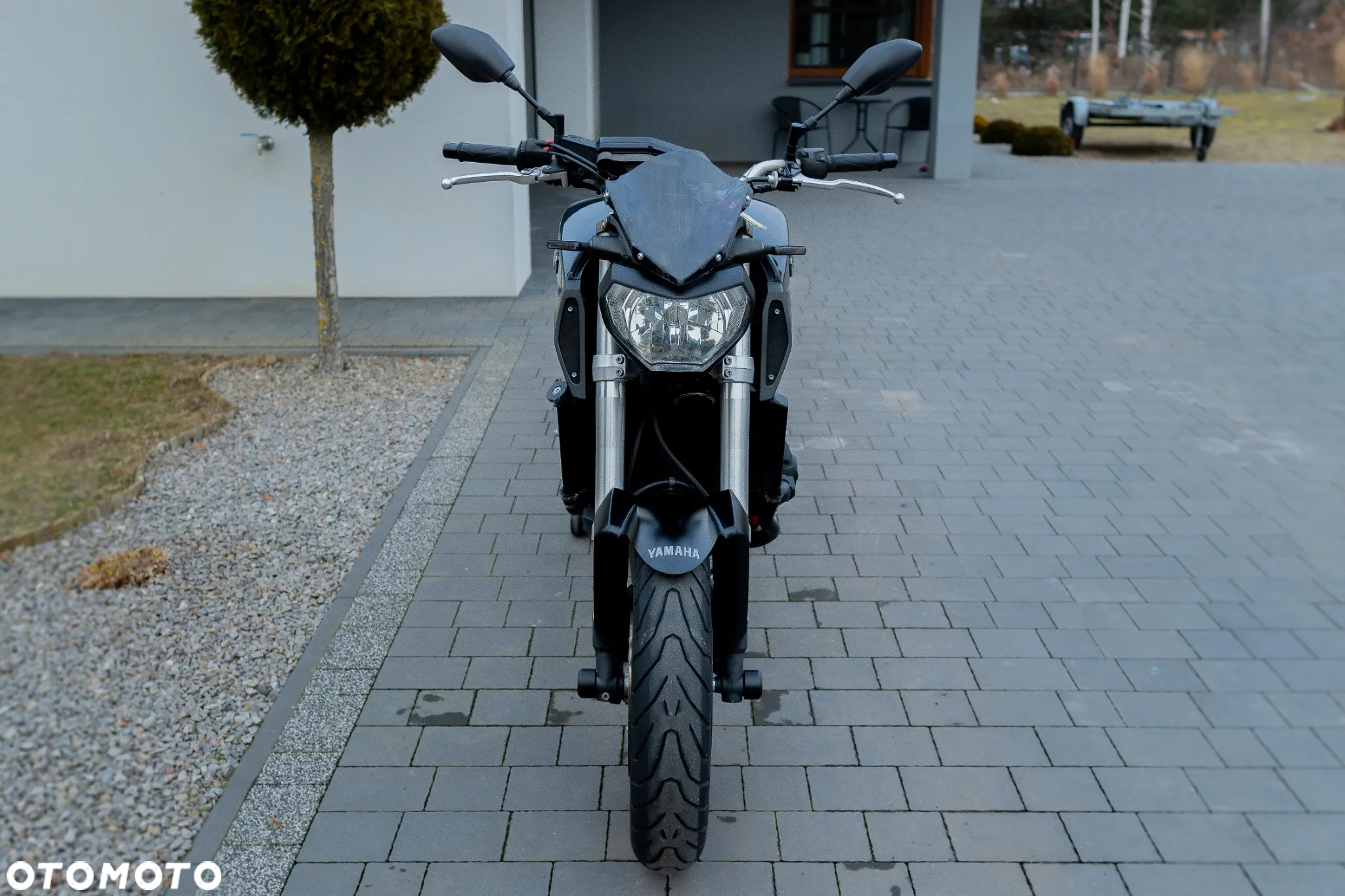 Yamaha MT - 6