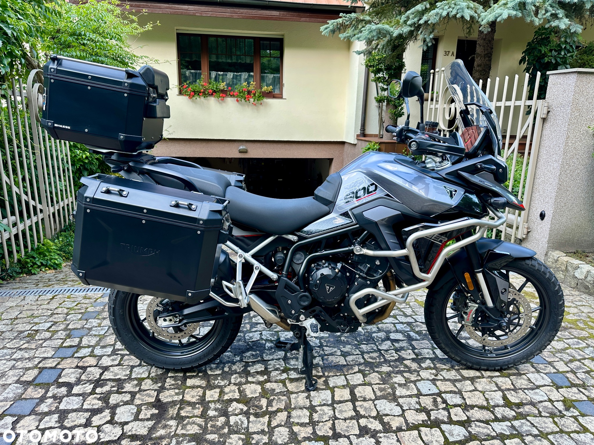 Triumph Tiger - 4