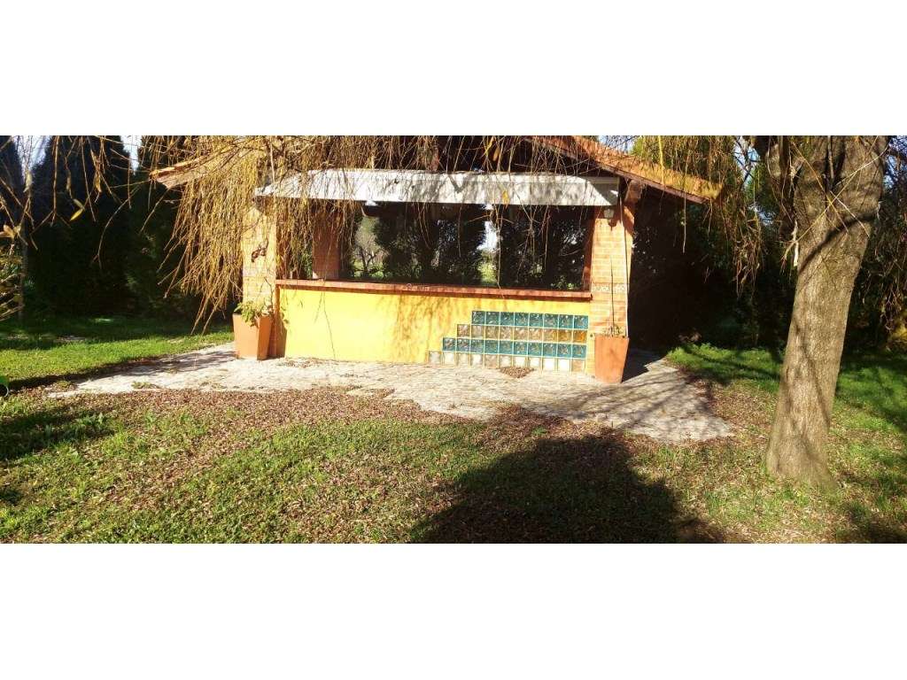 Fantástica Quinta Rúsrica situada em Angeja, Albergaria-a-Velha - Grande imagem: 3/21